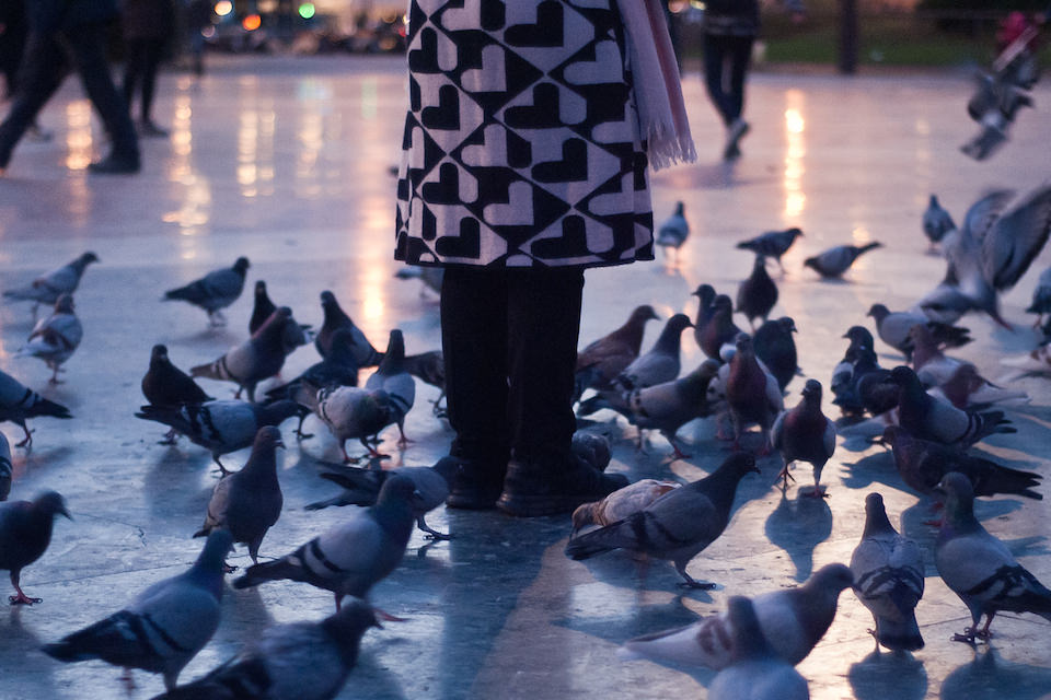 Hearts amongst the Pigeons